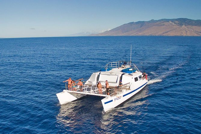 From Ma'alaea Harbor, Maui: Whale Watch Cruise Aboard Malolo - The Crew: Safety-First and Respect for Whales