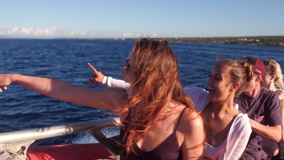 From Maalaea: Whale Watching Catamaran Cruise with Drinks - Should you book this whale watching cruise from Maalaea?