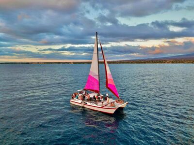 From Maalaea: Whale Watching Catamaran Cruise with Drinks - Marine biologist talks and hydrophones: learning that makes the whales easier to spot