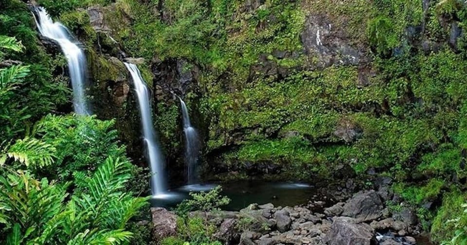 From Maui: Road to Hana Rainforest and Waterfall Experience - Price and value: what $219 buys you on Hana Highway