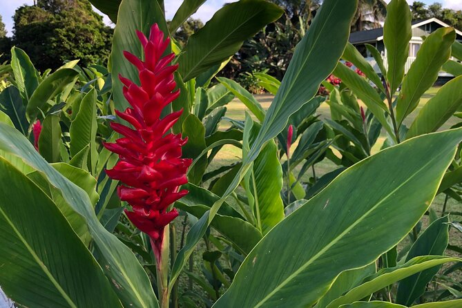 Full-Circle "Reverse" - Luxury Road to Hana Tour from South Maui - Waterfalls on the Road to Hana: short stops that add up