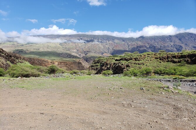Full-Circle "Reverse" - Luxury Road to Hana Tour from South Maui - Upcountry Maui on Haleakala Highway: Pukalani, Kula, Keokea, and beyond