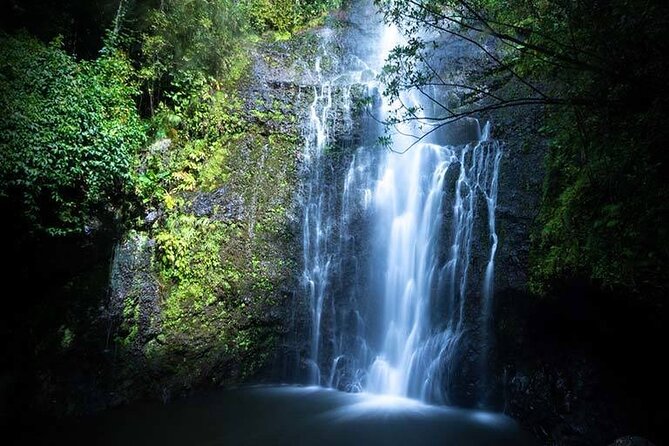 Full Day Private Maui Waterfall, Beach & Hana Tour - Road to Hana, but with a plan that doesn’t rush you