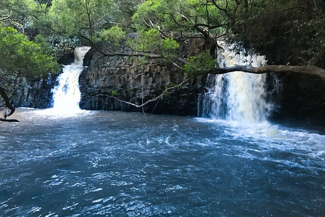 Full Day Private Maui Waterfall, Beach & Hana Tour - Ho‘okipa Beach Park and Lookout: surf views with sea turtles nearby