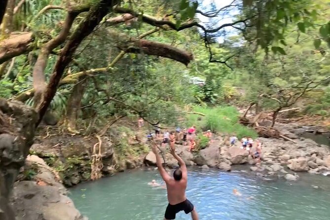 Full-Day Road to Hana and Waterfall Tour - Pua’a Ka’a State Park: the waterfall stop for the adventurous