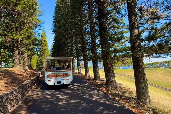 Fun & Affordable! West Maui Open-Air Sightseeing Tour! - Coffee Farms Overlook to Kapalua: the quick scenic drive you’ll remember