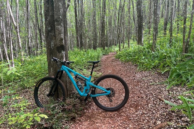 Fun Mountain Bike riding on trails in Maui Hawaii! - Key highlights