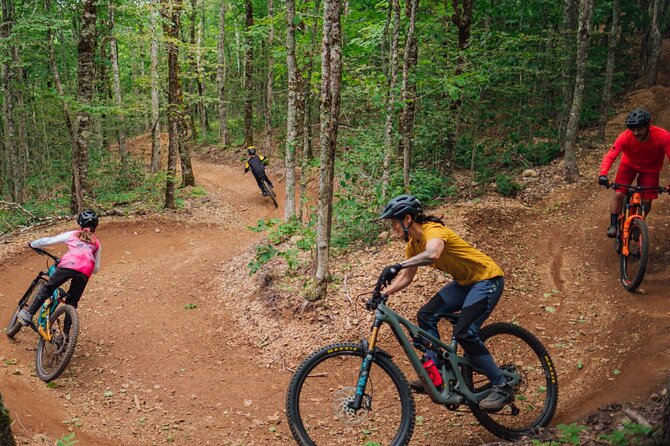 Fun Mountain Bike riding on trails in Maui Hawaii! - Bike setup and ride quality: when the equipment is actually good