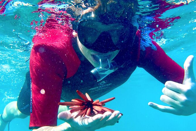 Guided Snorkeling for Beginners with Flotation Wetsuit - Key things I’d circle before you go
