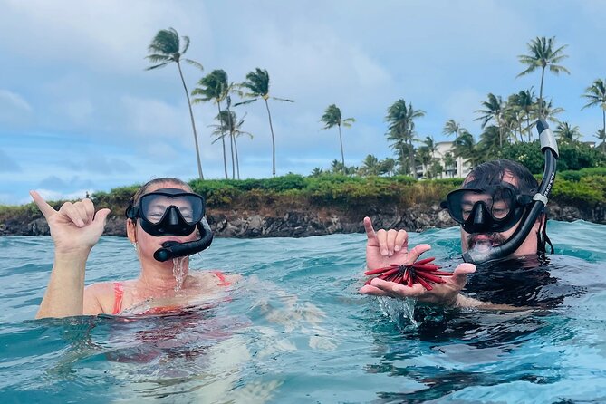 Guided Snorkeling for Beginners with Flotation Wetsuit - How the guides keep it safe: separation, attention, and keeping you in sight