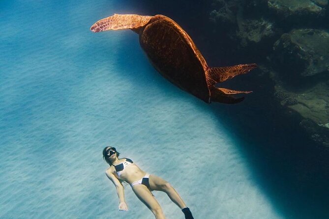 Guided Snorkeling for Beginners with Flotation Wetsuit - Gear included, plus the one add-on issue to watch for
