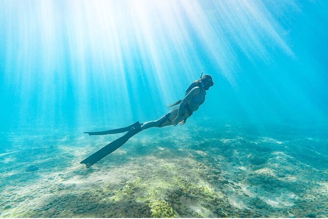 Guided Snorkeling for Beginners with Flotation Wetsuit - Sea turtles and marine life: what you should expect to see