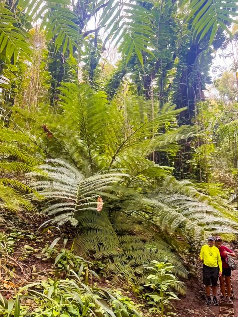 Haiku: Waterfall, Rainforest, and Handcrafted Chocolate Tour - Table-Side Chocolate Making: Tasting Plus Doing