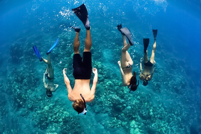 Half-Day Deluxe Molokini Snorkel Excursion in Maui - Stepping onto Ali’i Nui: catamaran comfort meets real dock rules