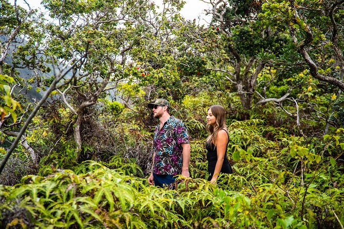 Half Day Private VIP Road to Hana Tour - Honomanu Bay: a quieter coast moment on the way to Hana
