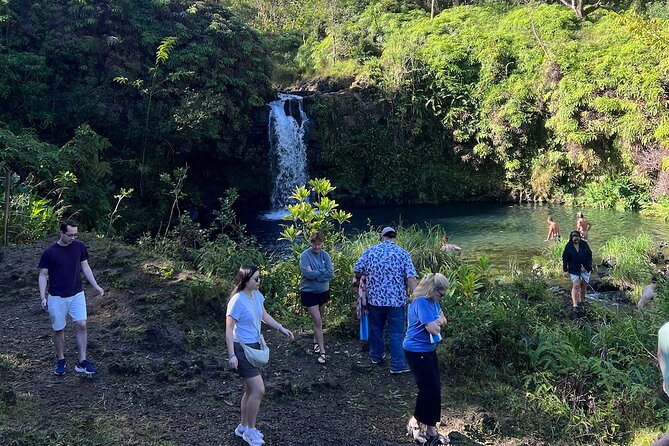 Halfway Road to Hana - Small Group — Taste of Hana & Waterfalls - Half-Day Road to Hana With a Time-Saver Plan