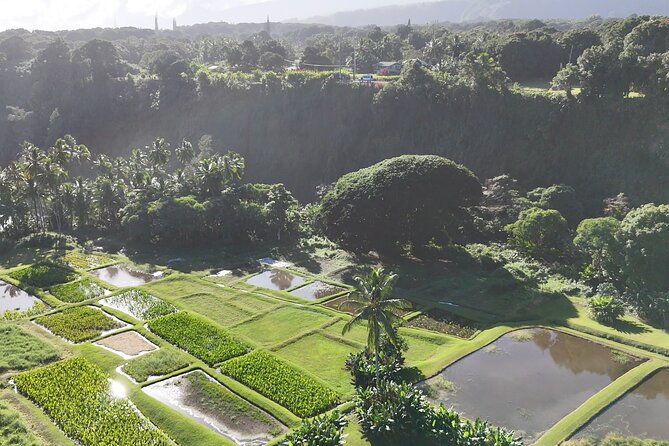 Halfway Road to Hana - Small Group — Taste of Hana & Waterfalls - Aunty Sandy’s Banana Bread: The Most Popular Stop for a Reason