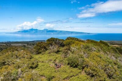 Hike Honolua Ridgeline - Meet at Lahaina: Starting Smooth, Staying Focused