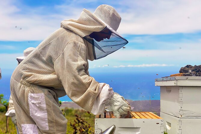 Honey Bee Adventure at the Maui Honey Bee Sanctuary - Bee suits and gloves: what you should bring (and what you don’t)