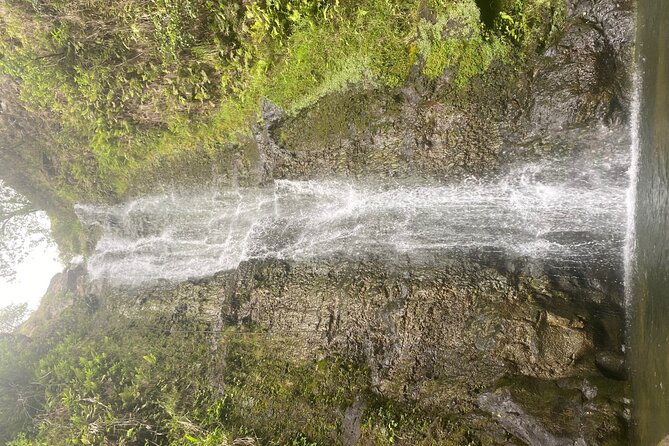 Island of Maui Customized Half Day Tour - A private Maui half-day that actually feels like your day
