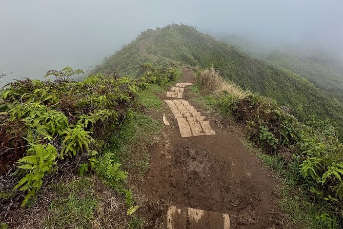 Island of Maui Customized Half Day Tour - Local food that feels like Maui, not just lunch