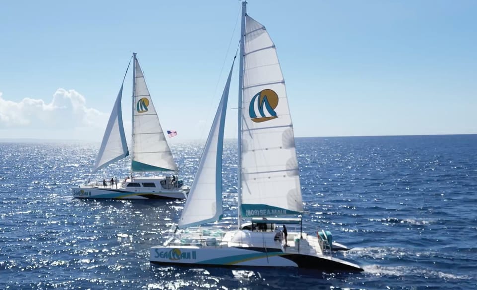 Ka'anapali Beach: Coral Reef Snorkel and Turtle Spotting - Snorkeling with green sea turtles: what you should expect to see