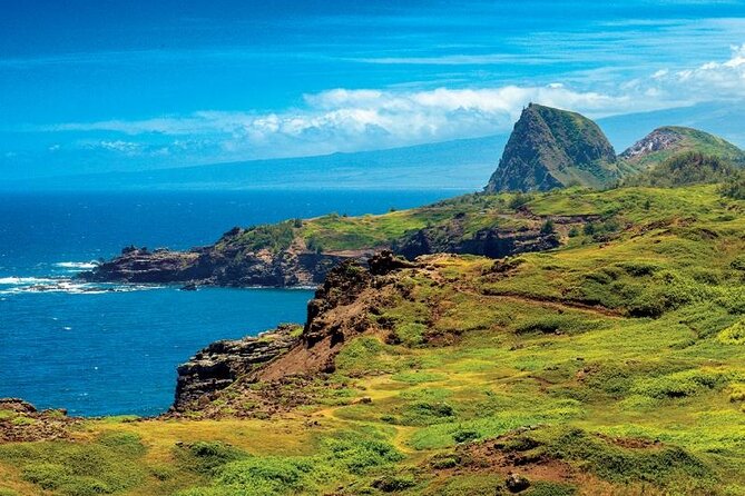 Kaanapali to Kapalua Maui Explorer Electric Bike Rental - The coastal payoff: beaches, panoramic views, and wildlife along the way