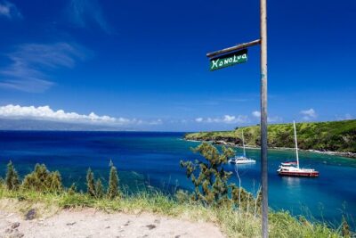 Kaanapali to Kapalua Maui Explorer Electric Bike Rental - Coffee farms and sand dunes: the scenic side trips you’ll notice from the bike
