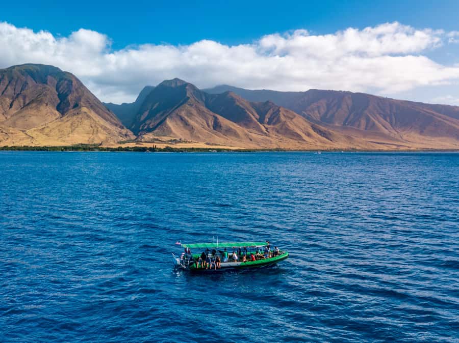Ka'anapali: Whale Watching Boat Tour - Magic Merman whale watching in Ka’anapali: the vibe and the odds