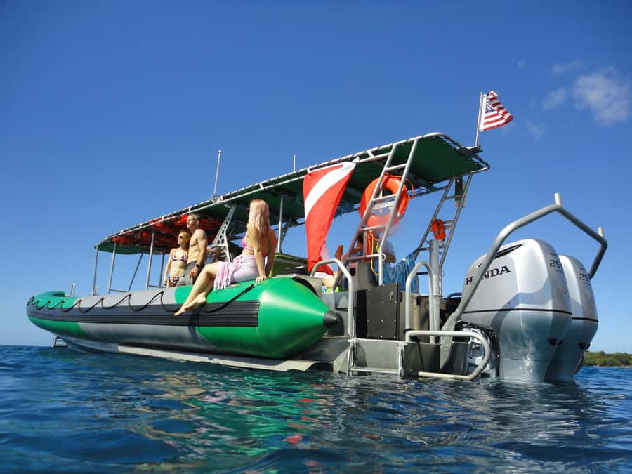 Ka'anapali: Whale Watching Boat Tour - The 2-hour cruise: what the time feels like on the water