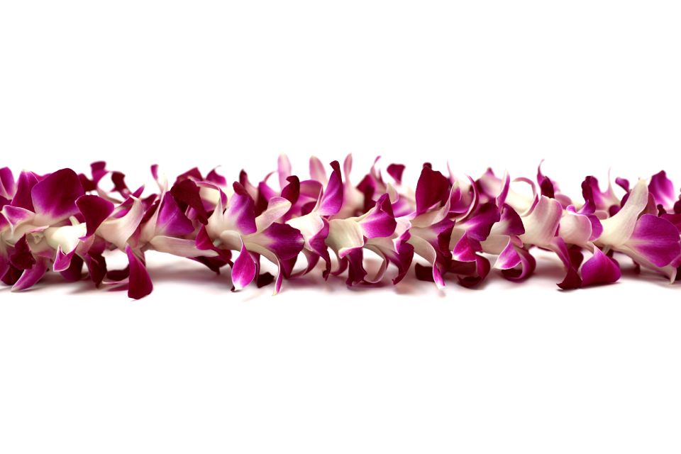Kahului Airport: Maui Flower Lei Greeting Upon Arrival - Key Things to Know Before You Go