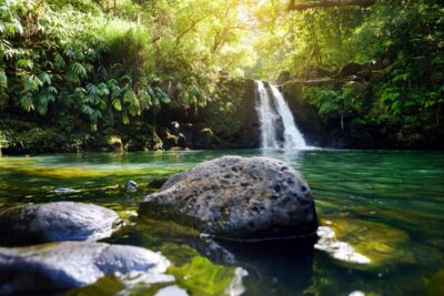 Kahului: Guided Rainforest and Waterfall Walk - The 3-Hour Flow: From Rainforest Stroll to Twin Falls