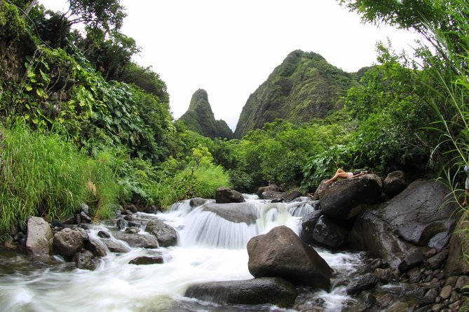 Kahului Shore Excursion: Private Tropics of Maui & Rainforest - How the Private Format Changes the Feel of a Shore Day