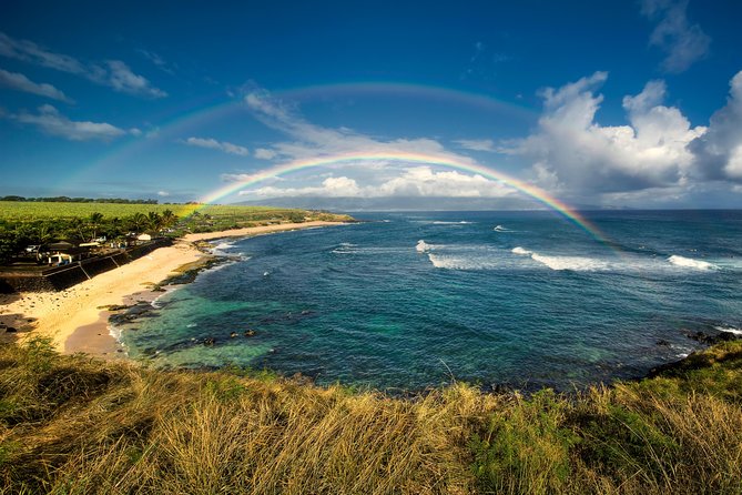 Kahului Shore Excursion: Private Tropics of Maui & Rainforest - What You Get for the Money: $799 for a Private Group