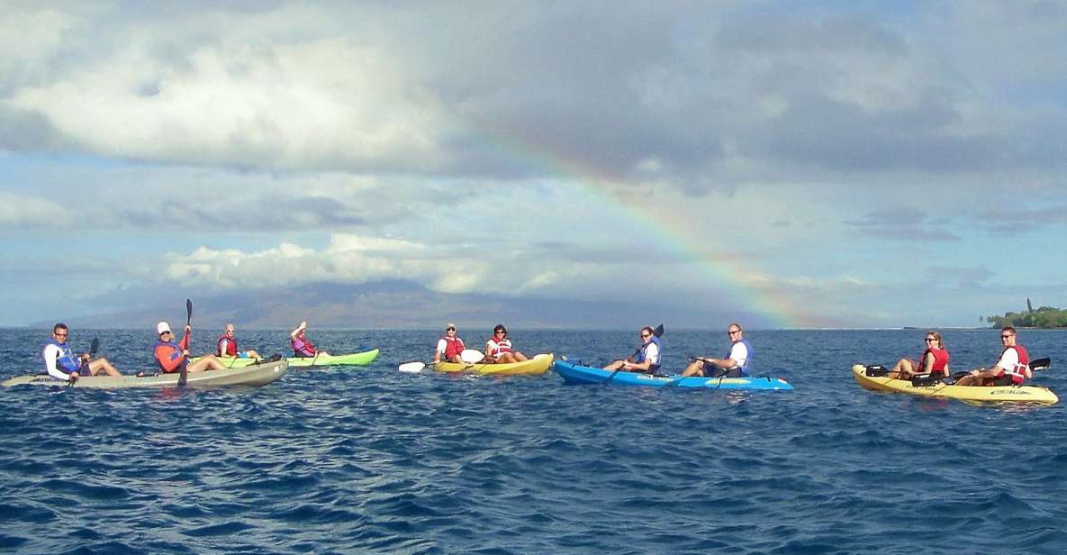 Kayak and Snorkel West Maui at Olowalu - Snorkeling at the turtle cleaning station: giant sea turtles and close-up fish