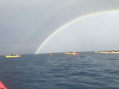 Kayak and Snorkel West Maui at Olowalu - Kayaking off Olowalu: the best way to scan for sea life