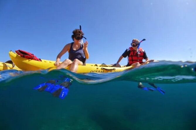 Kayak, Whale Watch and Snorkel - Olowalu Beach: The Easy Maui Start for a 3.5-Hour Ocean Day