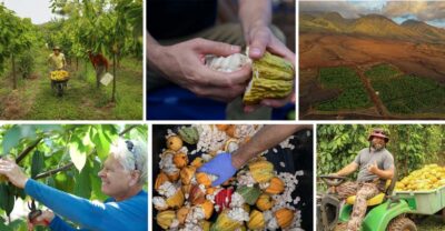 Lahaina: Maui Ku'ia Estate Guided Cacao Farm Tour & Tasting - Getting from the factory to the cacao estate: short ride, big change of scenery
