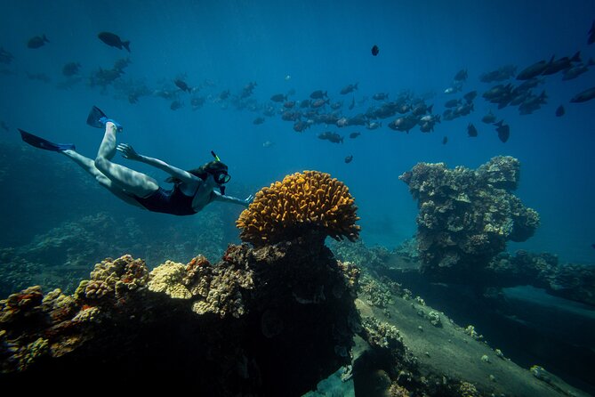 Lāna'i Coast Snorkel and Sail - Snorkel Gear, Floatation, and the Real-World Comfort Stuff