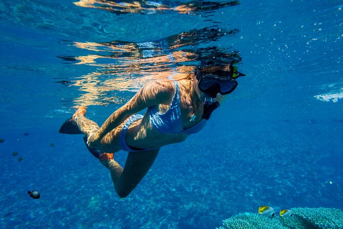 Lāna'i Coast Snorkel and Sail - Who This Tour Fits Best (and Who Might Want Something Else)
