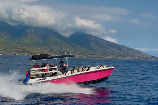 Lana'i Snorkel And Dolphin Quest with Maui Turtle Spot Tour - Dolphin and marine-life search: more than turtles