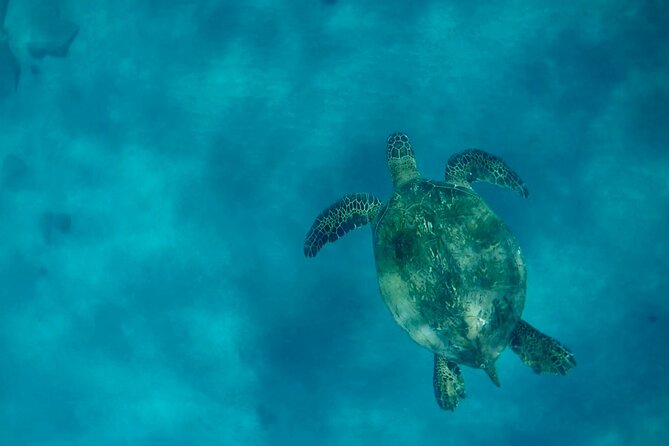 Lana'i Snorkel And Dolphin Quest with Maui Turtle Spot Tour - The crew factor: small boat energy and real ocean teaching