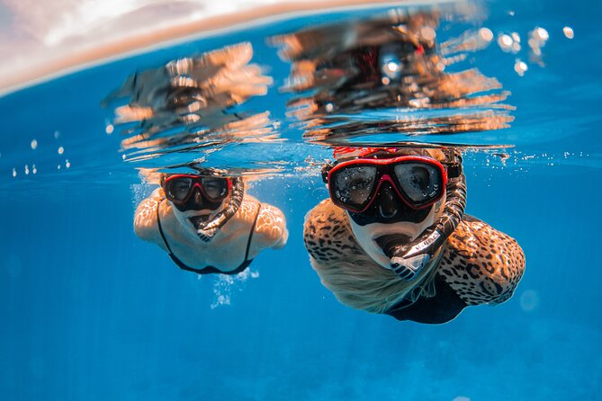 Lana'i Snorkel And Dolphin Quest with Maui Turtle Spot Tour - Timing and how the half-day flows