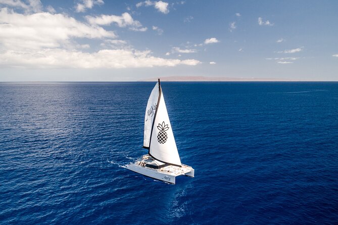 Luxury Catamaran Royal Sunset Dinner Sail (Adults-Only) - Key things to know before you go