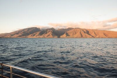 Luxury Catamaran Royal Sunset Dinner Sail (Adults-Only) - Adults-only catamaran: the vibe you came for