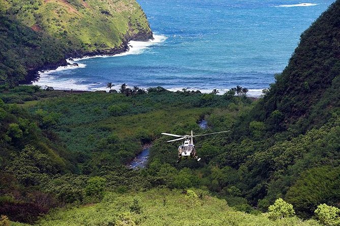 Luxury Helicopter Experience with Hana Rainforest Landing - Wailua Valley rainforest landing: 30 minutes on former taro plantation grounds