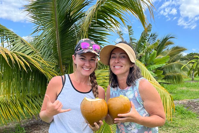 Macnut Tour, Picnic lunch and Maui Bees - Key highlights you’ll care about
