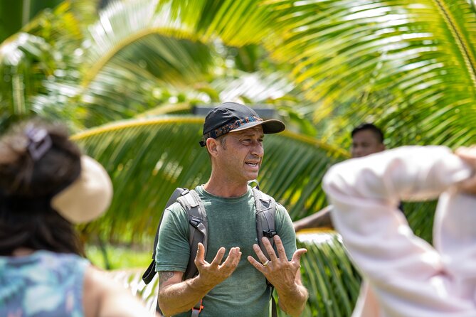Macnut Tour, Picnic lunch and Maui Bees - Where this tour starts on Maui (and what that means for your day)