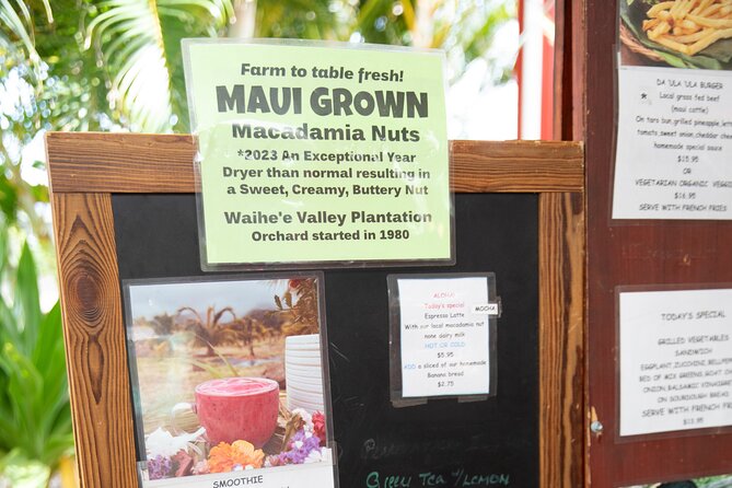 Macnut Tour, Picnic lunch and Maui Bees - Pace, group size, and who this suits best