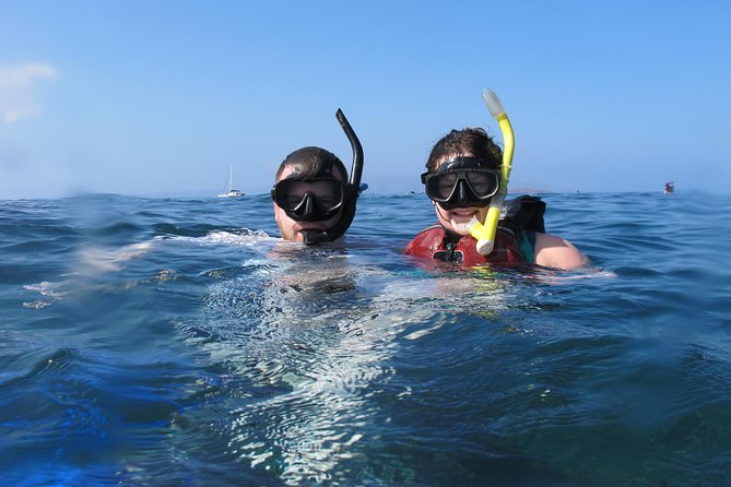 Makena Turtle Town Eco Adventure in Maui - The itinerary’s heart: kayaking toward Turtle Town